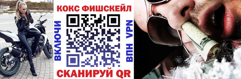 КОКАИН FishScale  даркнет сайт  Суджа 